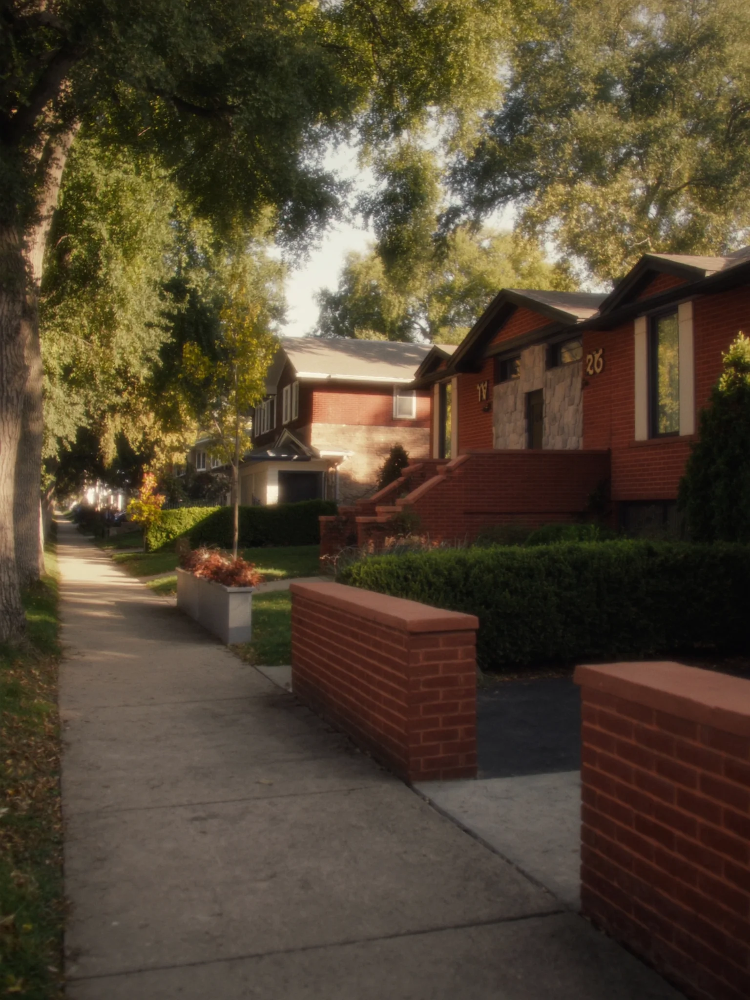 Illustrative leafy Michigan street with brick homes and welcoming porches
